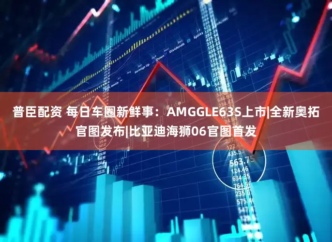 普臣配资 每日车圈新鲜事：AMGGLE63S上市|全新奥拓官图发布|比亚迪海狮06官图首发
