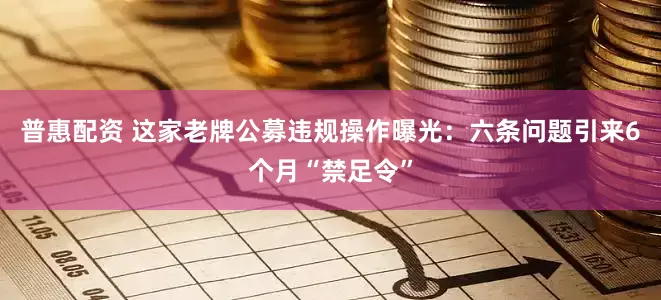 普惠配资 这家老牌公募违规操作曝光：六条问题引来6个月“禁足令”