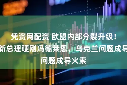 凭资网配资 欧盟内部分裂升级!德国新总理硬刚冯德莱恩,乌克兰问题成导火索